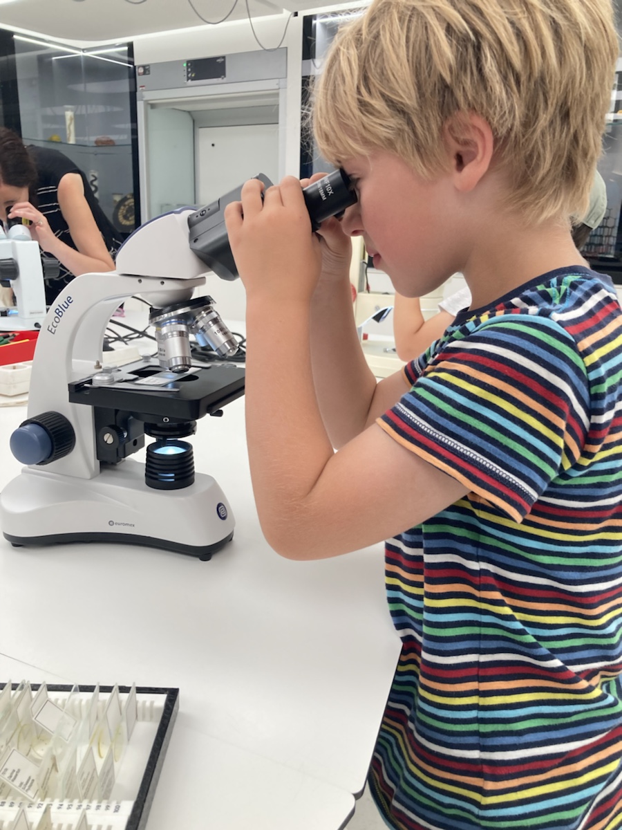 Travel night: Vienna to Berlin